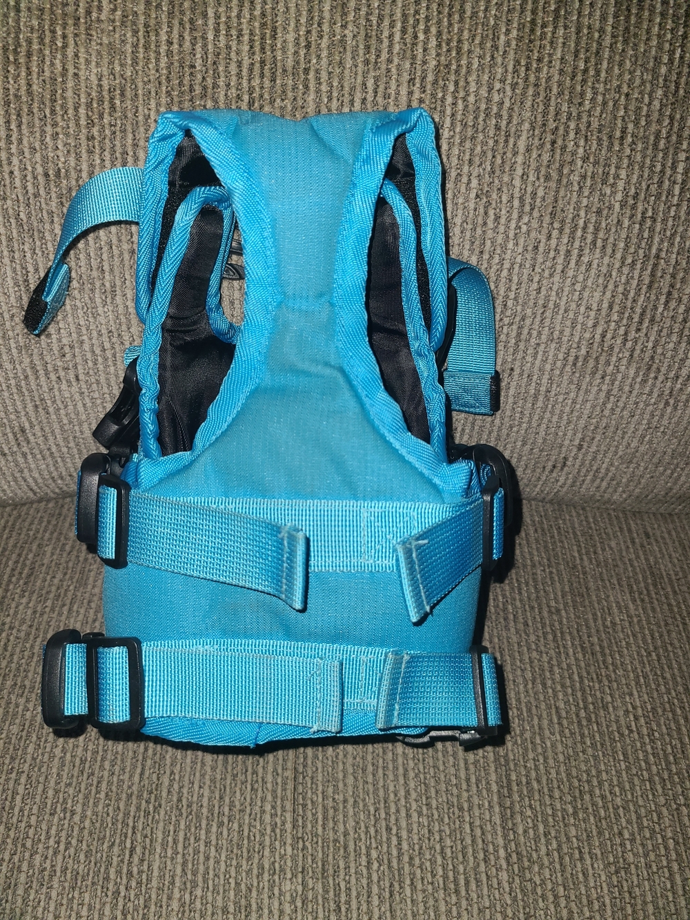 X-small Dog Items - Picture 6 of 16